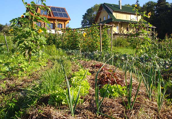 Strawbale home & garden