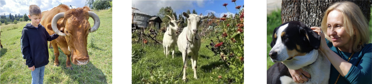 Ecovillage Animals